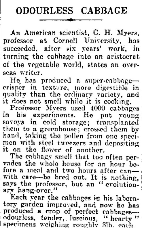 Article on the creation of an allegedly odourless 'super-cabbage'. Image: 